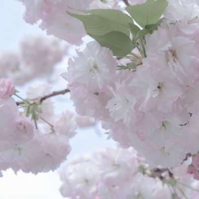 Furry插画背景绘制技巧兽圈群